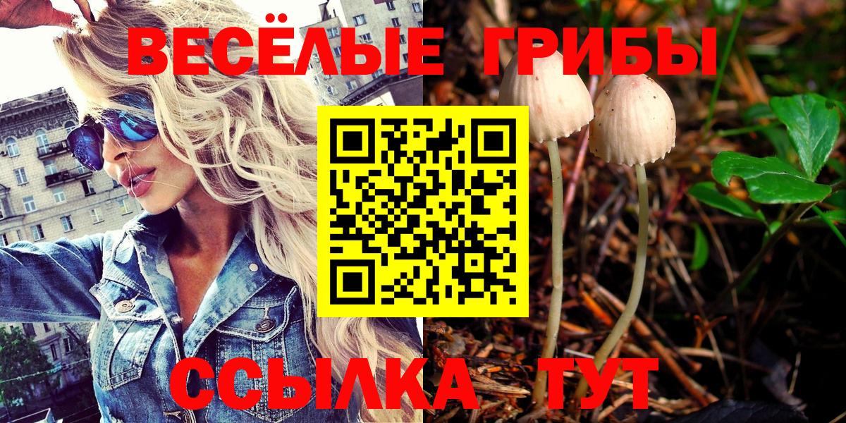 Псилоцибиновые грибы Cubensis  дарнет шоп  Кирово-Чепецк  Галлюциногенные грибы Magic Shrooms  Вход с VPN 